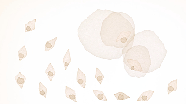 Screenshot aus der Animation Verbunden Bleibt